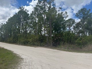 29459 Clara Drive Punta Gorda FL 33982 C7525784 image3