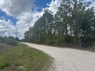 29459 Clara Drive Punta Gorda FL 33982 C7525784 image5