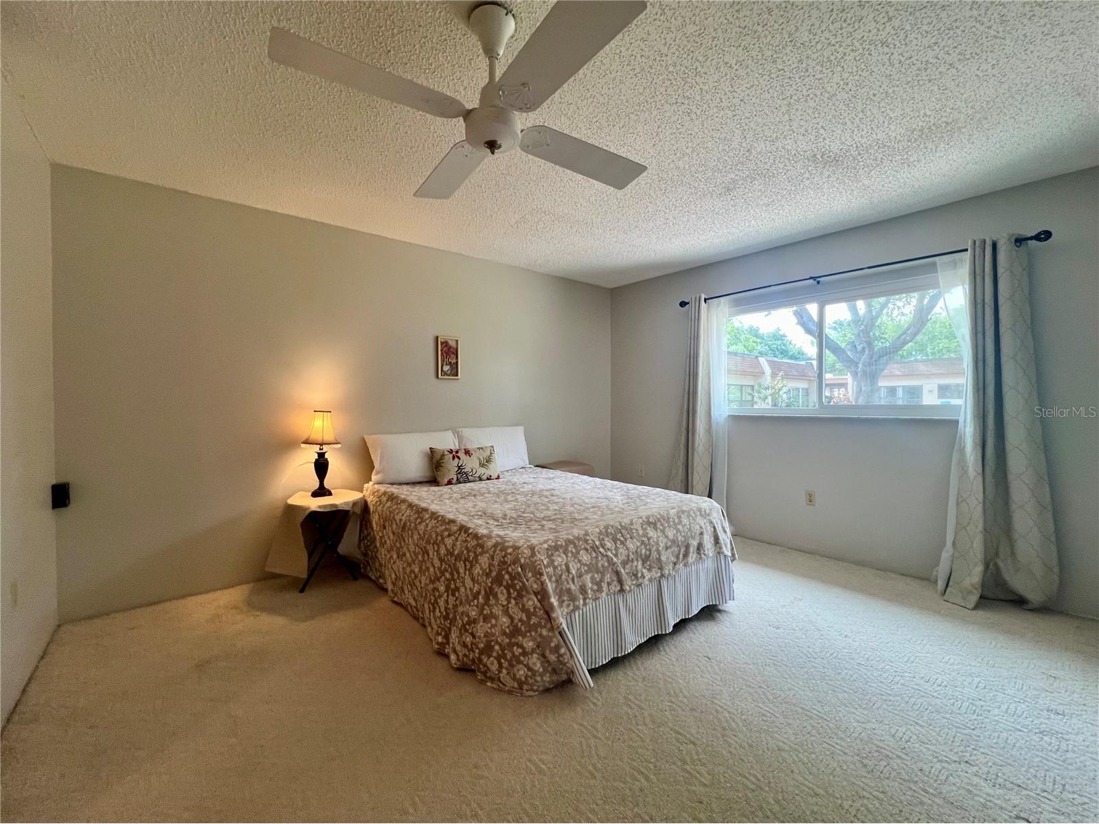 2946 Feather Drive Clearwater FL 33759 TB8504624 image8