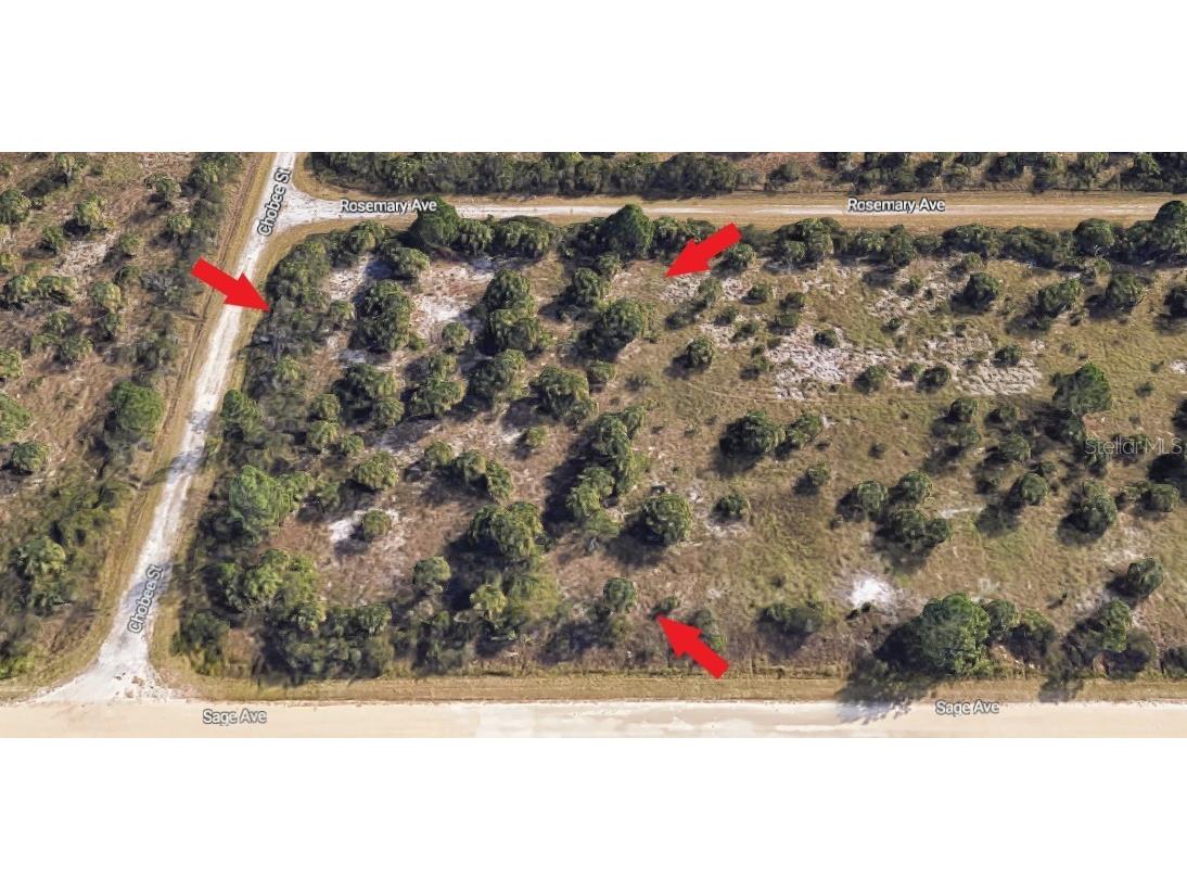 2946 Sage Avenue SW Palm Bay FL 32908 O6095560 image1