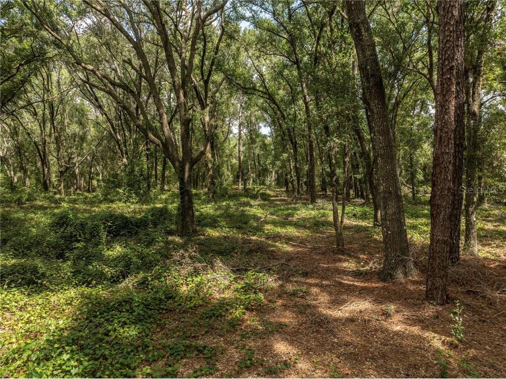 2946 SE 21st Avenue Sumterville FL 33585 G5102520 image12