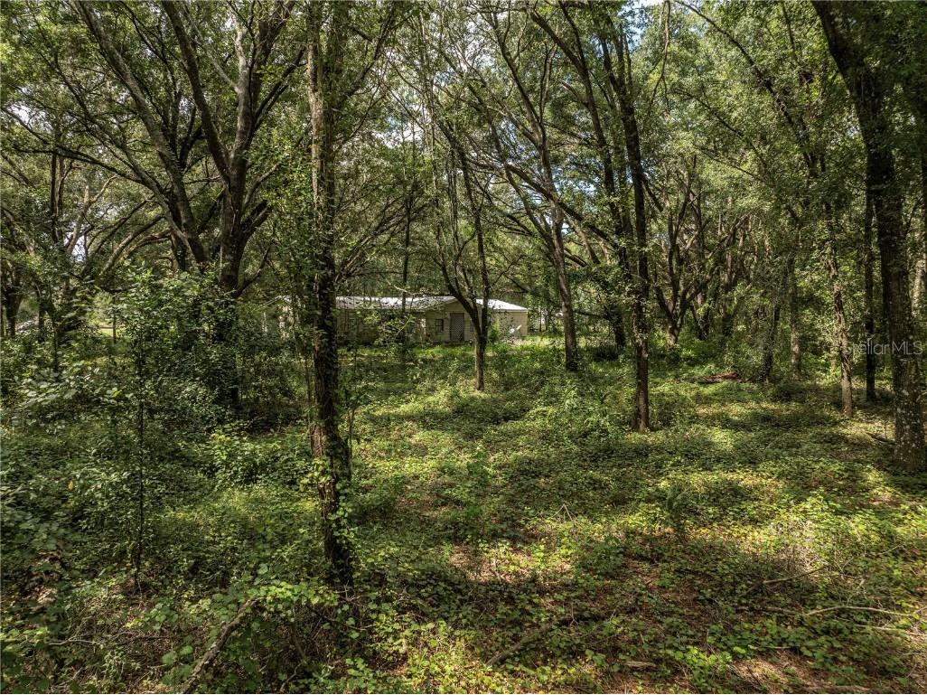 2946 SE 21st Avenue Sumterville FL 33585 G5102520 image14