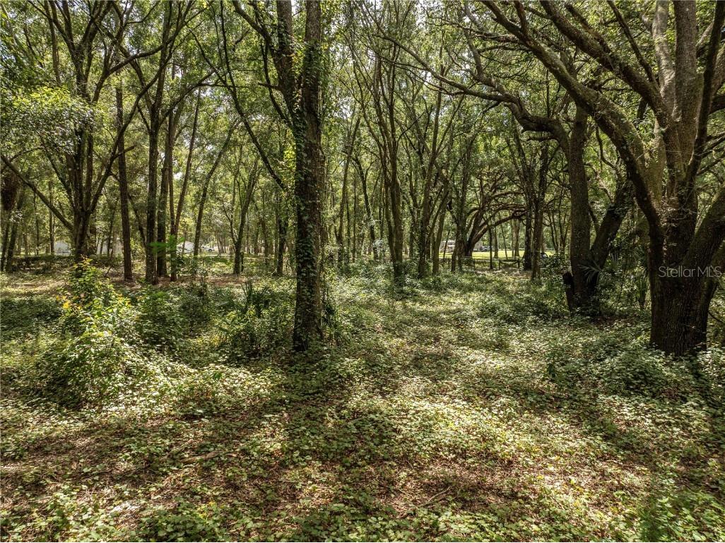 2946 SE 21st Avenue Sumterville FL 33585 G5102520 image15