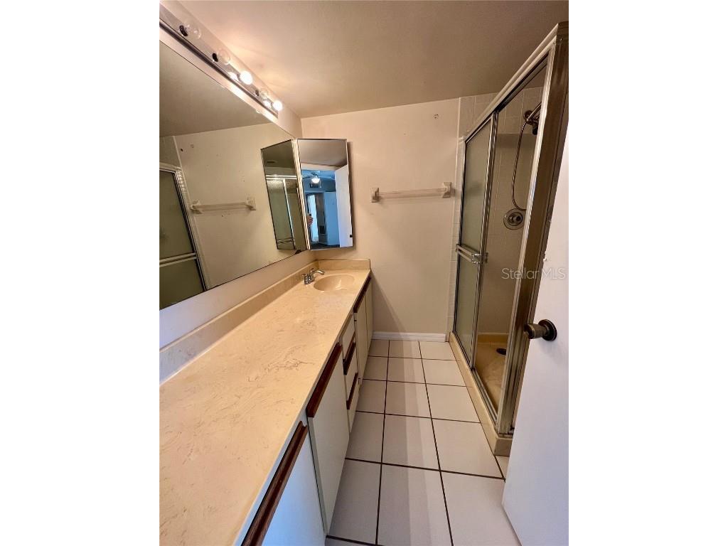 2946 Tangerine Court Leesburg FL 34748 O6358479 image37