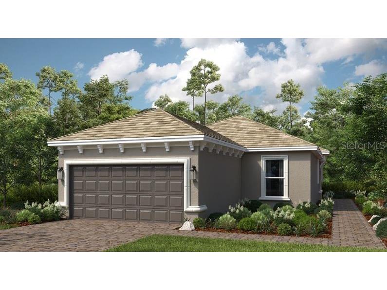 29463 Velletri Lane Wesley Chapel FL 33543 TB8354696 image1