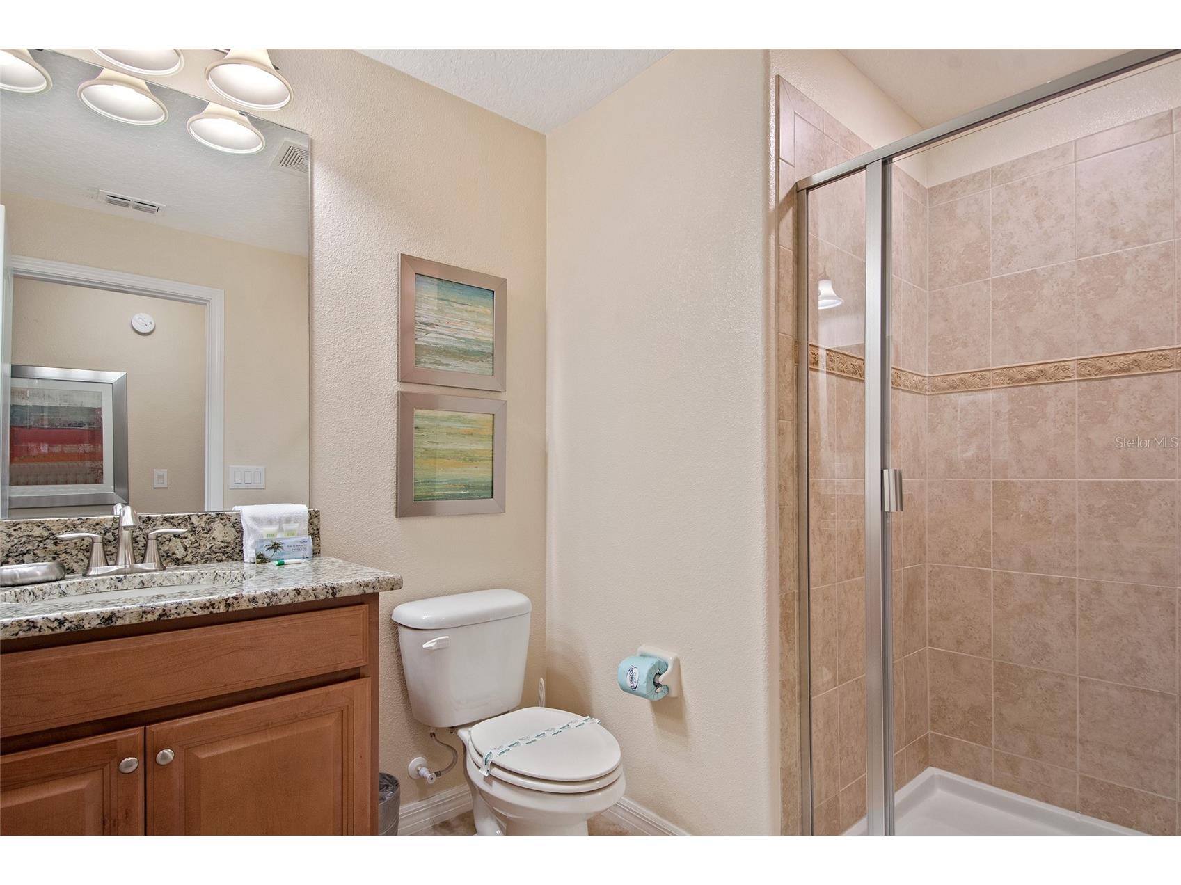 2947 Banana Palm Drive Kissimmee FL 34747 O6382631 image22