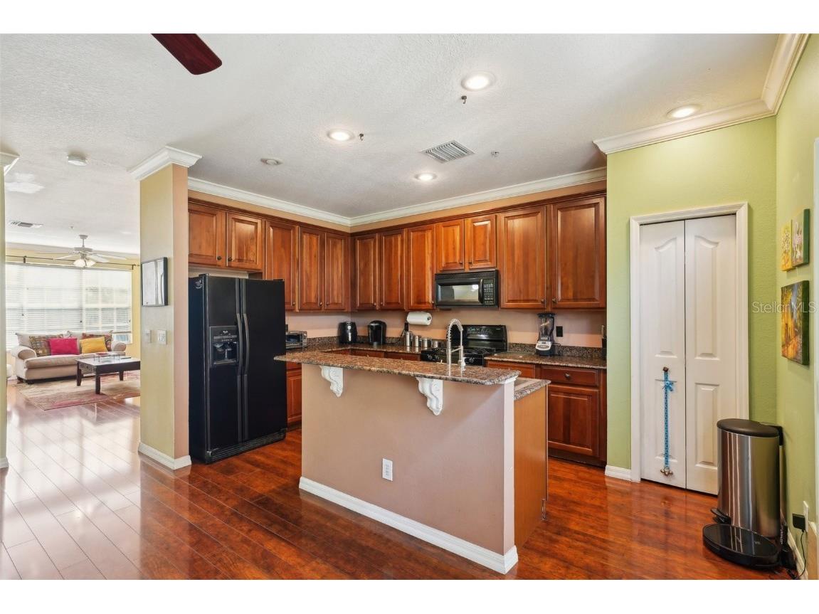 2947 Bayshore Pointe Drive Tampa FL 33611 TB8425438 image16