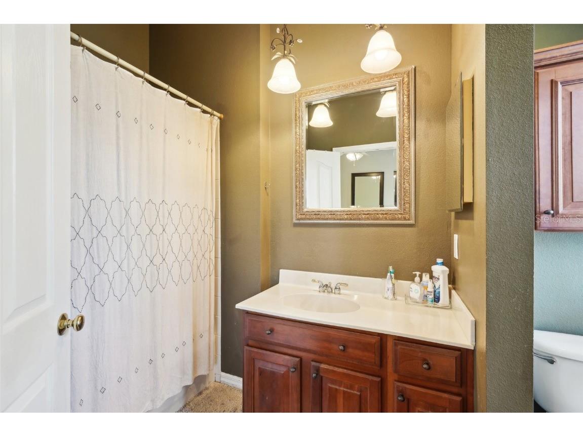 2947 Bayshore Pointe Drive Tampa FL 33611 TB8425438 image55