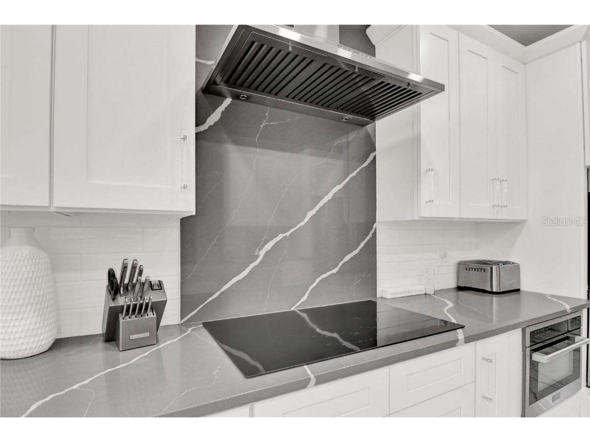 2947 Cedar Trace Tarpon Springs FL 34688 TB8376473 image11