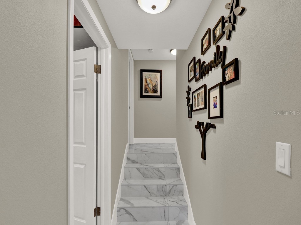 2947 Cedar Trace Tarpon Springs FL 34688 TB8376473 image23