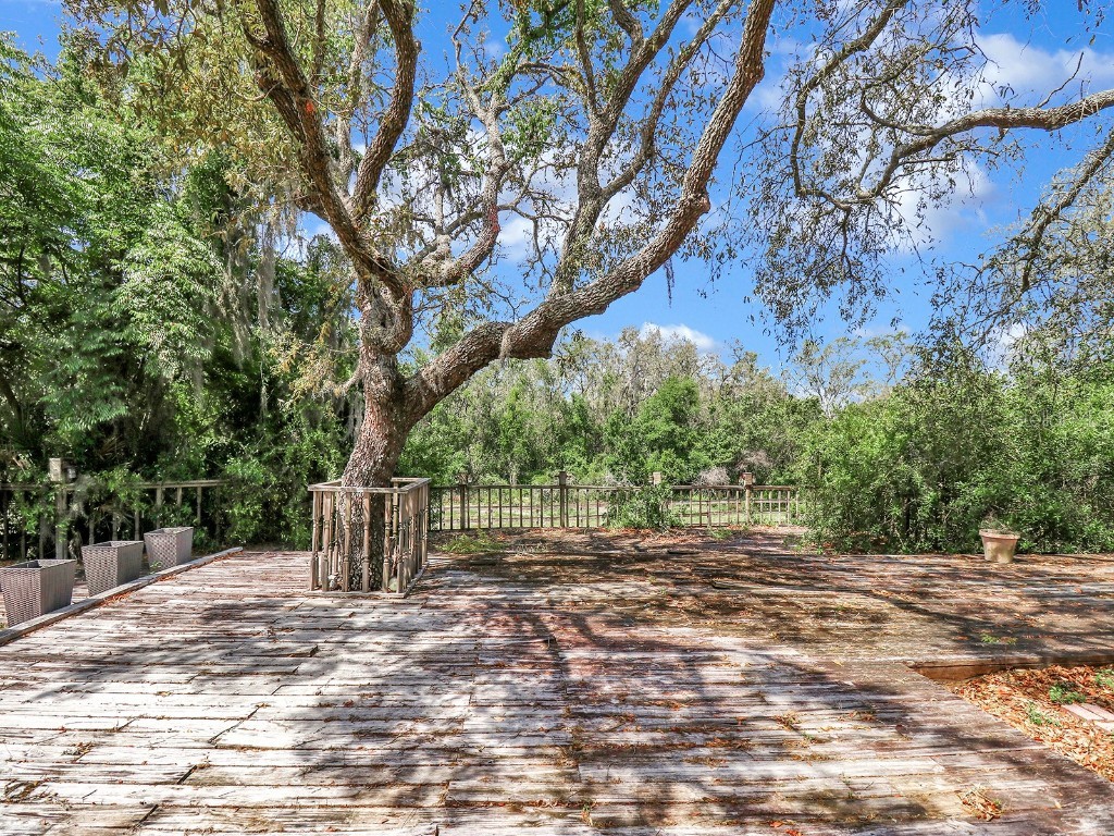 2947 Cedar Trace Tarpon Springs FL 34688 TB8376473 image63