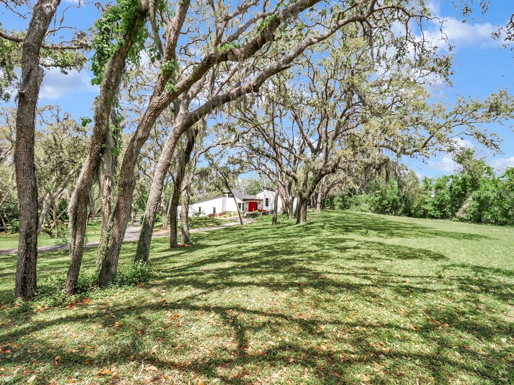 2947 Cedar Trace Tarpon Springs FL 34688 TB8376473 image67