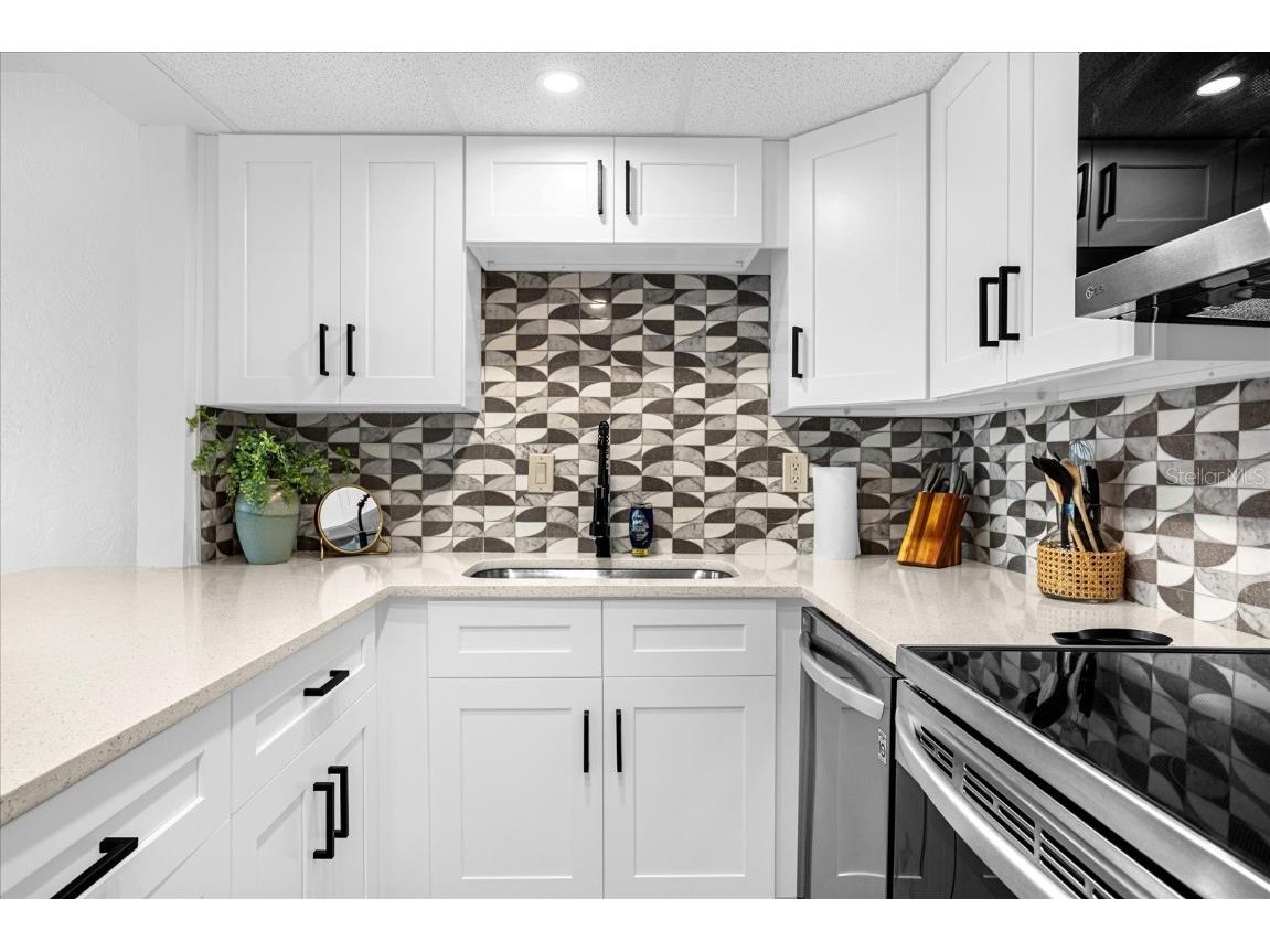 2947 S Atlantic Avenue #201 Daytona Beach Shores FL 32118 V4941898 image10