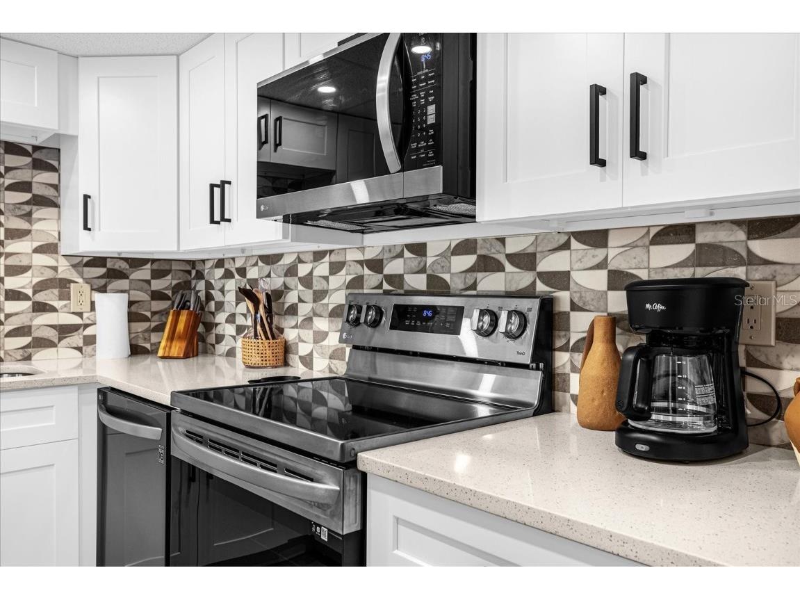 2947 S Atlantic Avenue #201 Daytona Beach Shores FL 32118 V4941898 image11