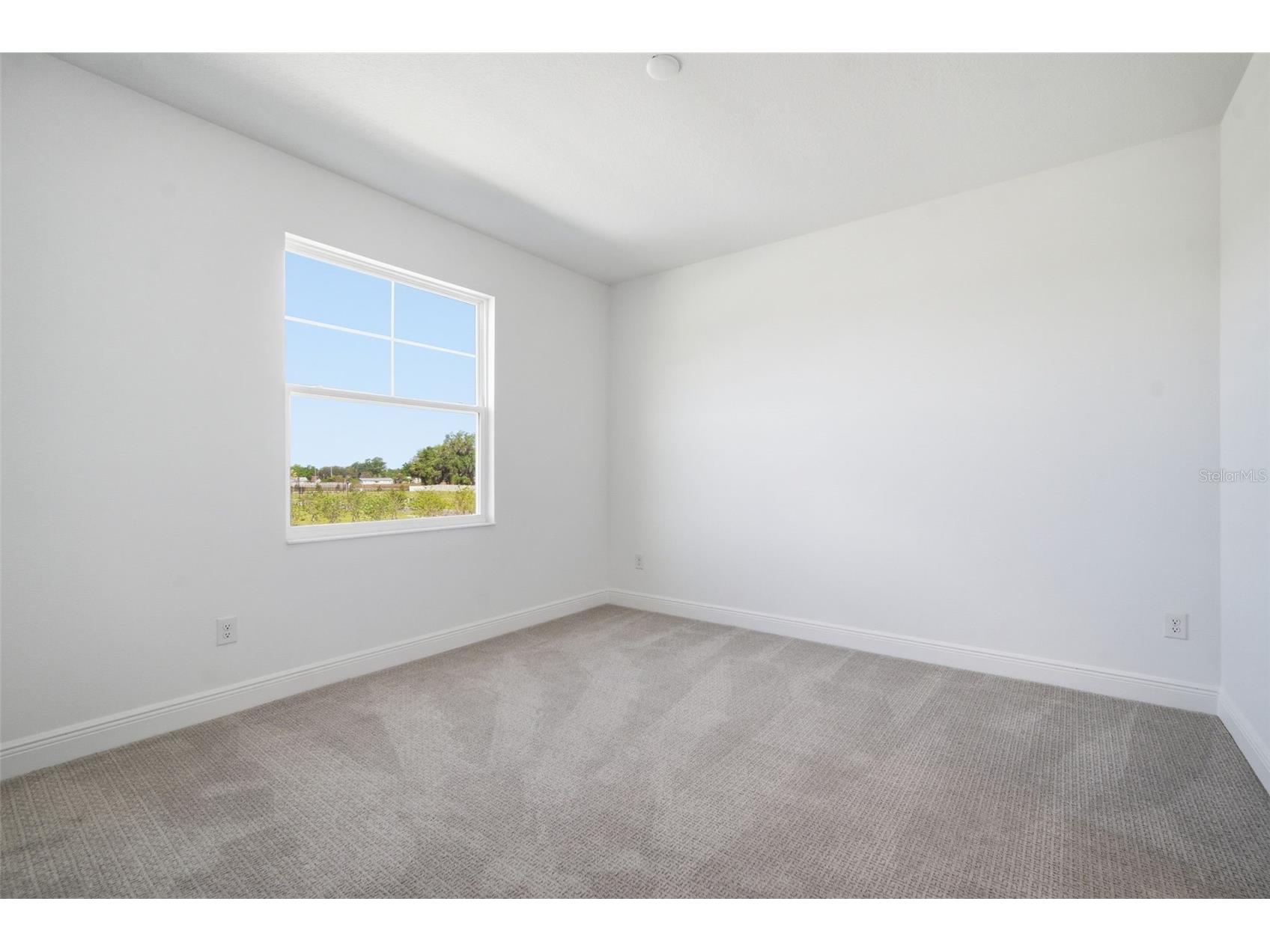 2947 Stewart Creek Circle Plant City FL 33565 TB8453985 image54