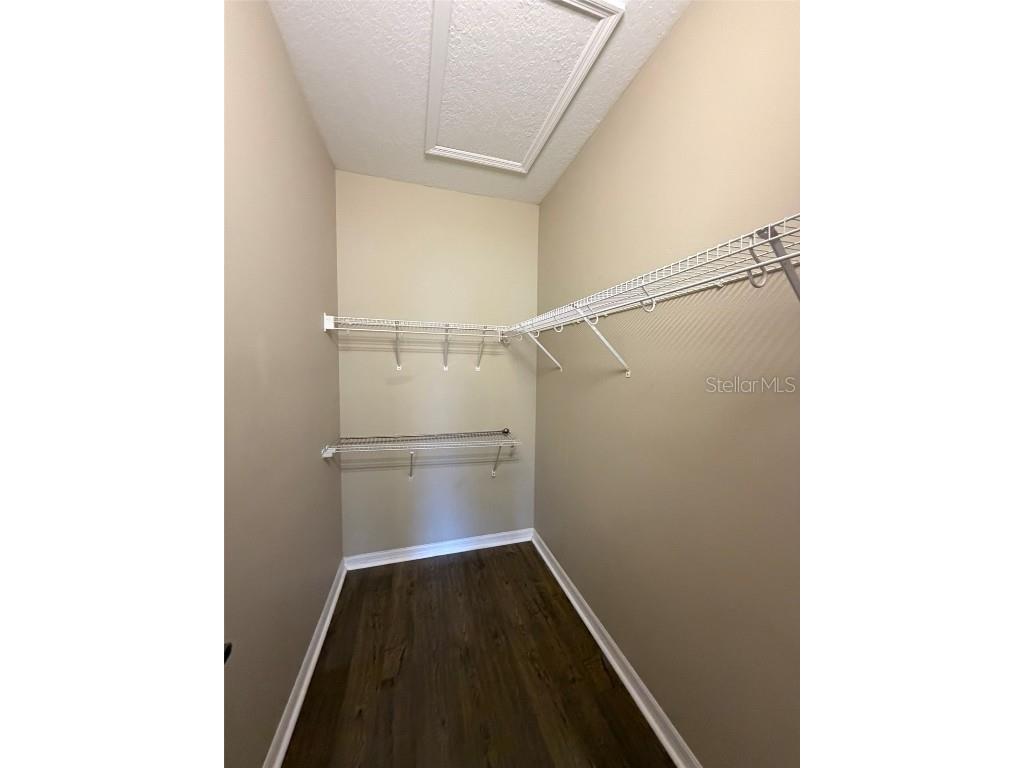 2947 Willowleaf Lane Wesley Chapel FL 33544 TB8452214 image20