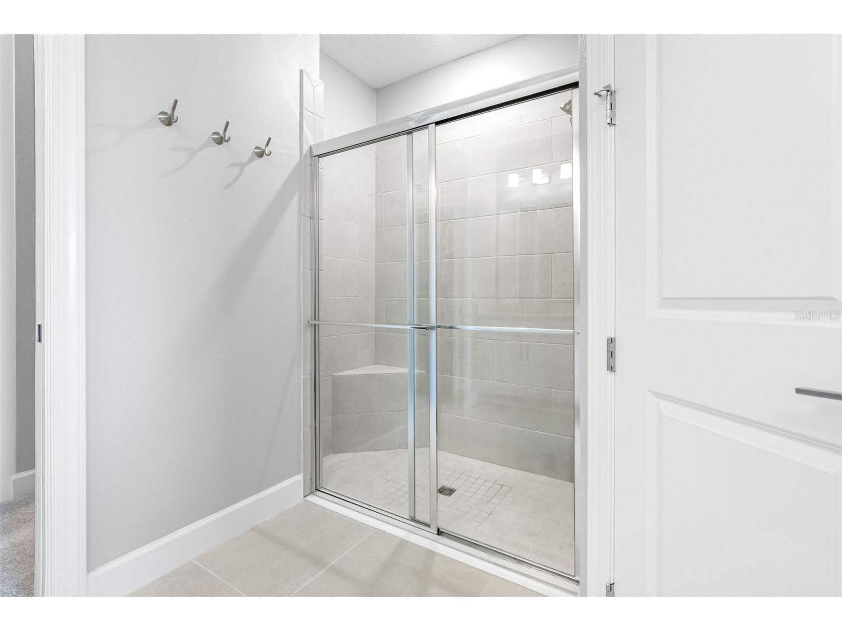 29477 Velletri Lane Wesley Chapel FL 33543 TB8463508 image18