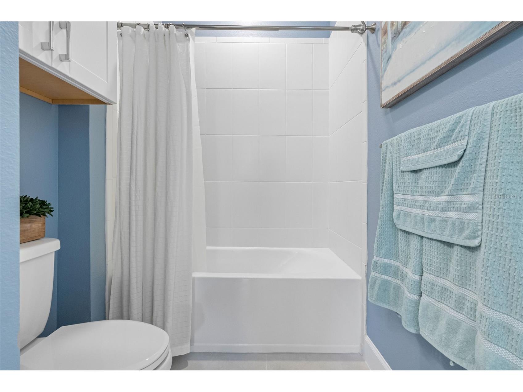 29477 Velletri Lane Wesley Chapel FL 33543 TB8463508 image22