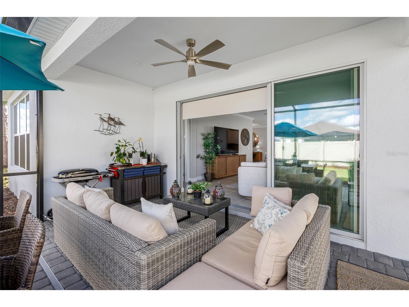 29477 Velletri Lane Wesley Chapel FL 33543 TB8463508 image27