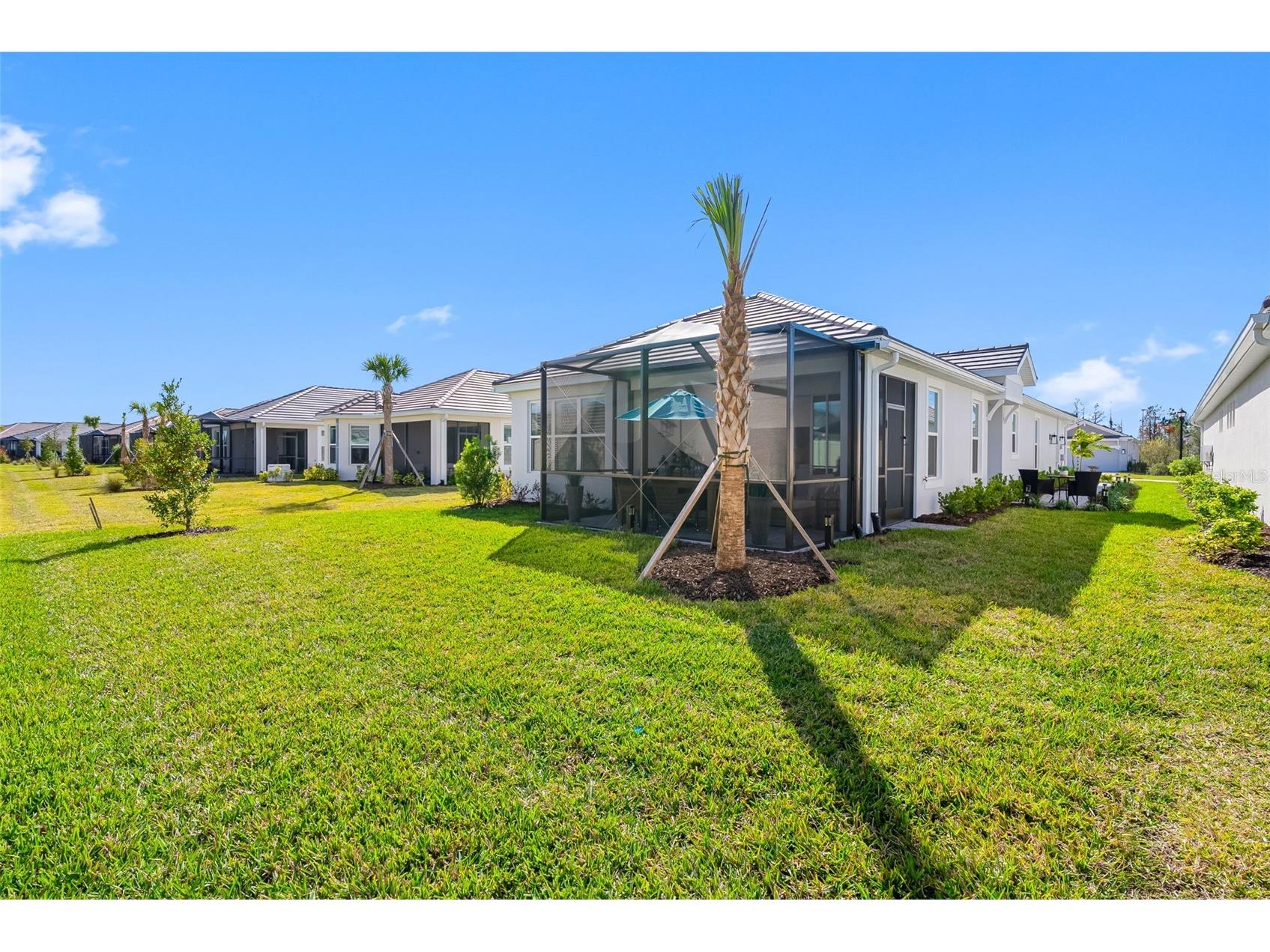 29477 Velletri Lane Wesley Chapel FL 33543 TB8463508 image30