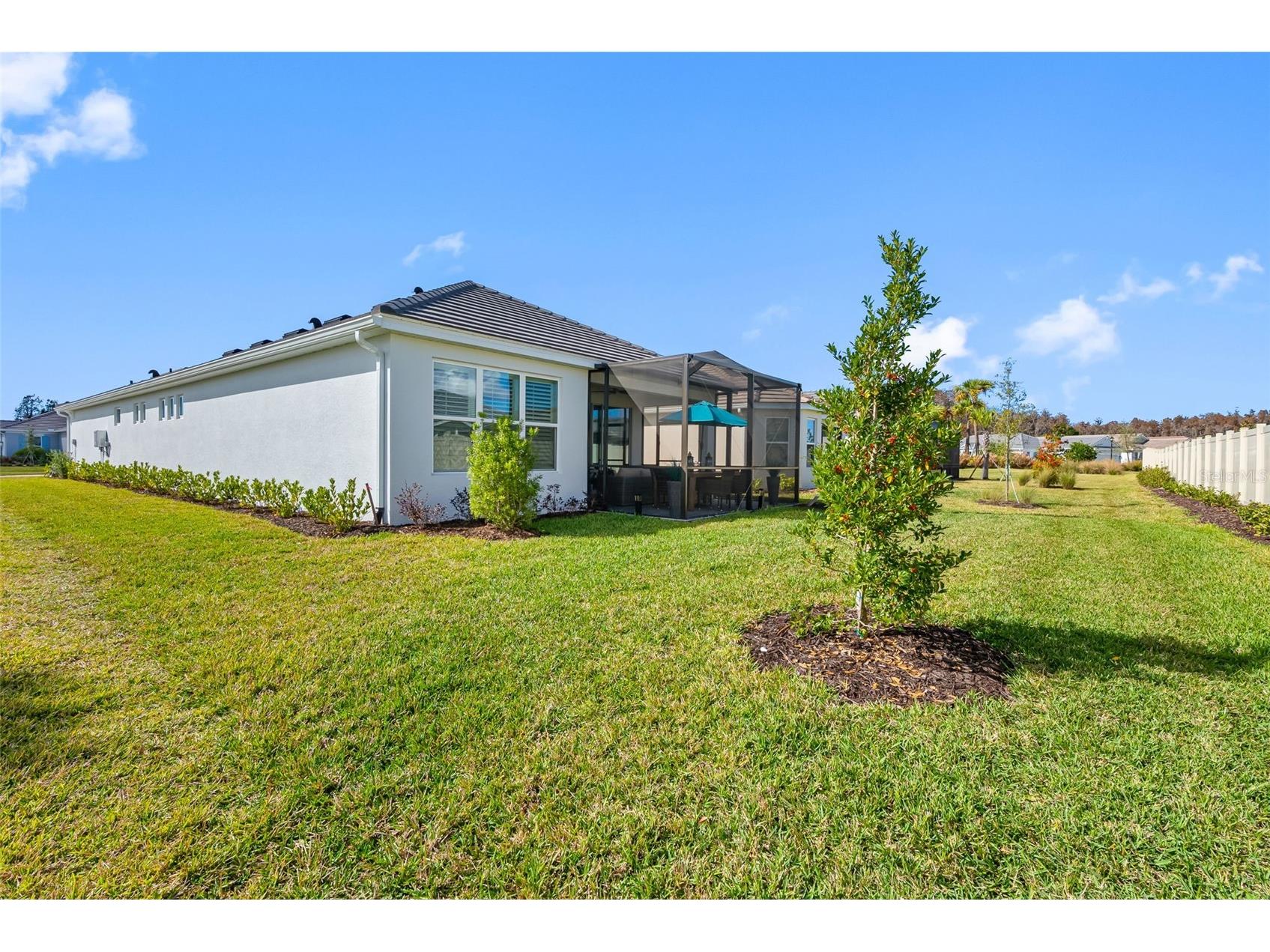 29477 Velletri Lane Wesley Chapel FL 33543 TB8463508 image31