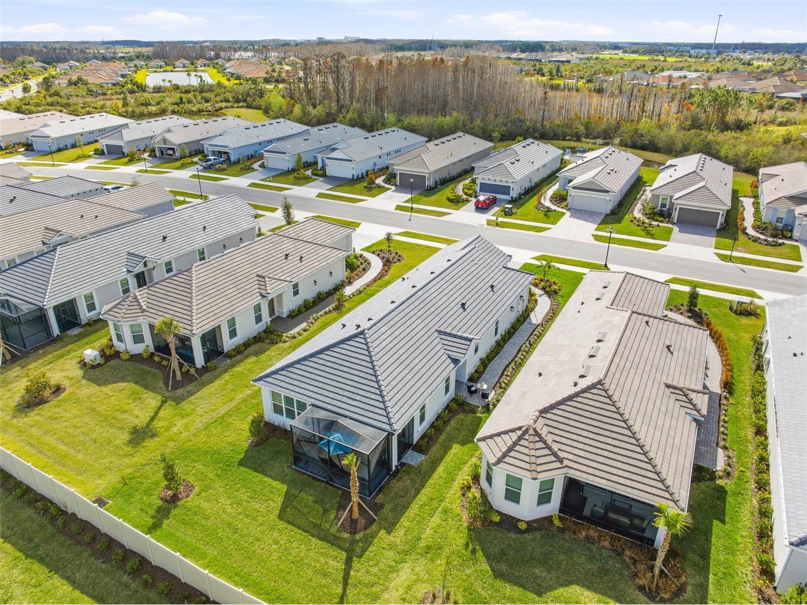 29477 Velletri Lane Wesley Chapel FL 33543 TB8463508 image34