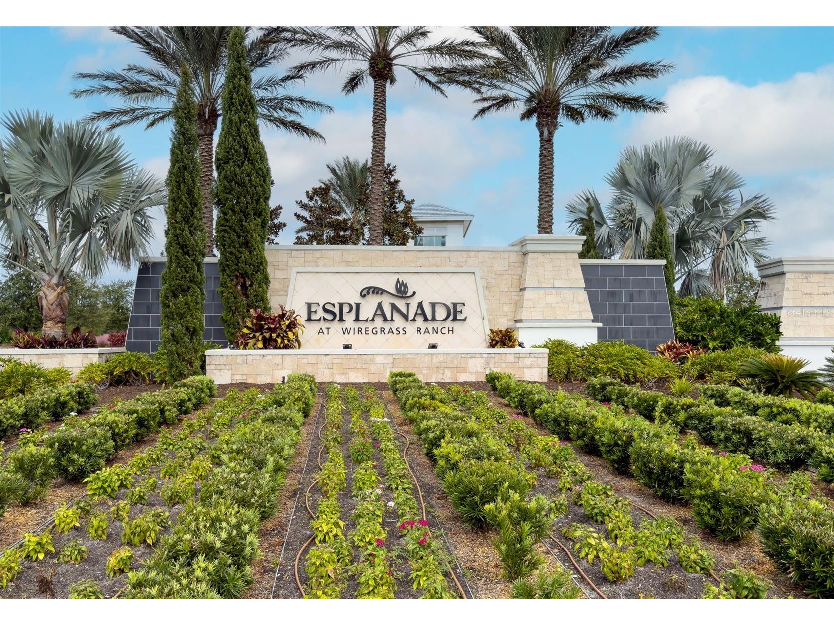 29477 Velletri Lane Wesley Chapel FL 33543 TB8463508 image35