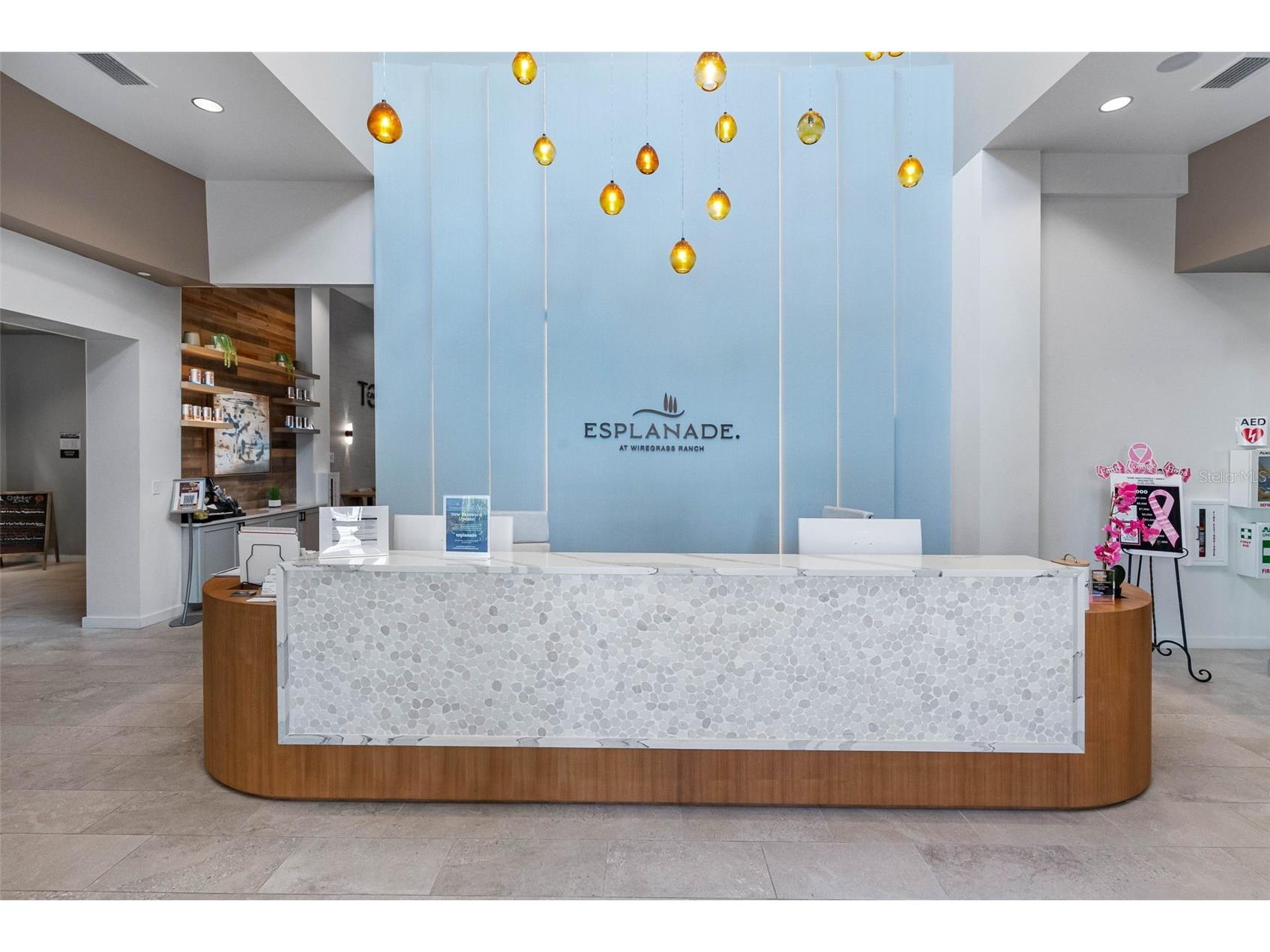 29477 Velletri Lane Wesley Chapel FL 33543 TB8463508 image44