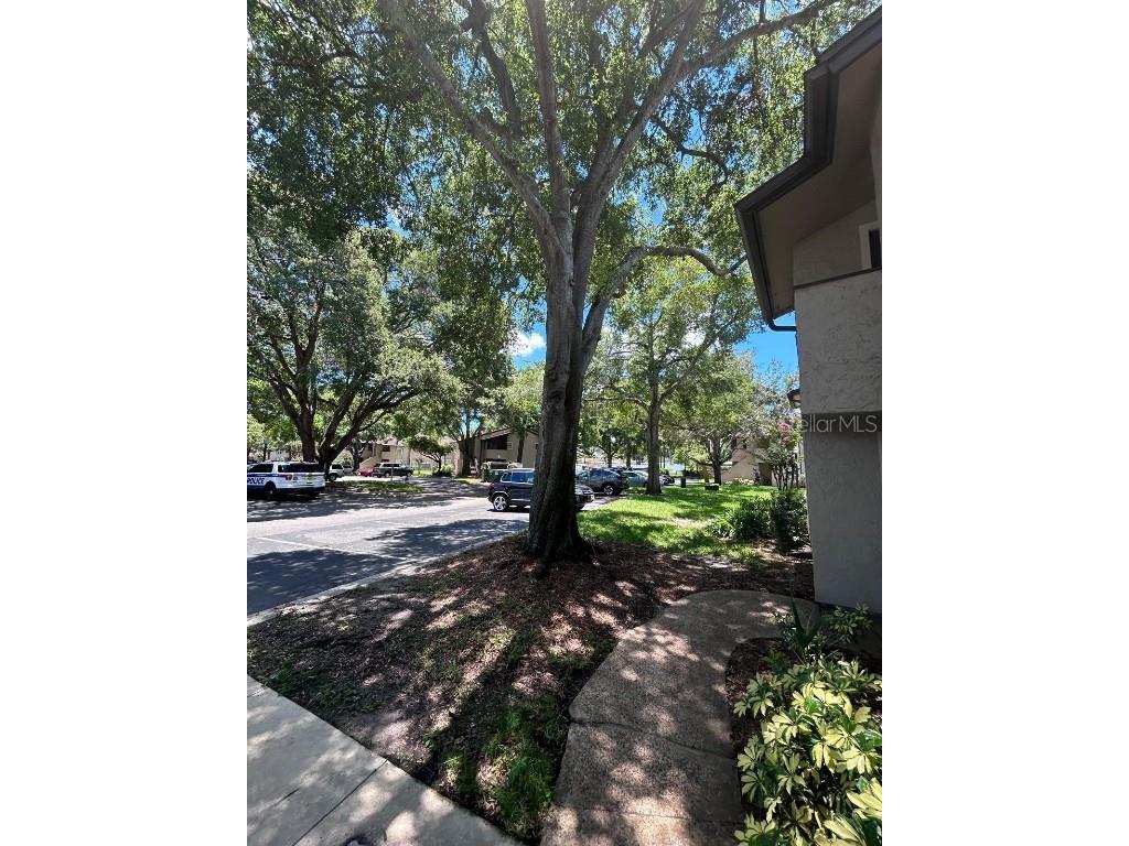 2948 Antique Oaks Circle #94 Winter Park FL 32792 O6342254 image32