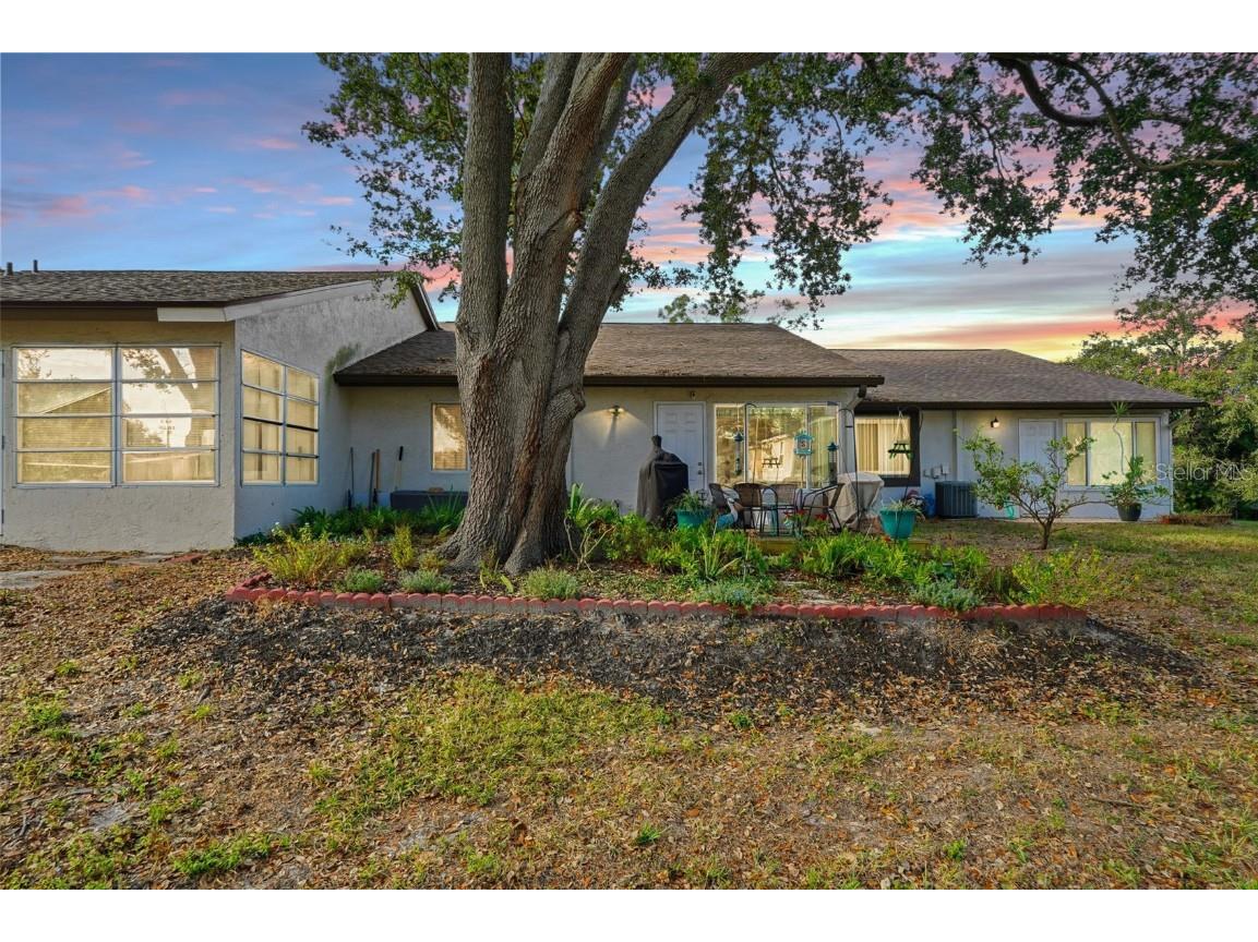 2948 Bancroft Circle E #B Palm Harbor FL 34683 TB8460313 image22