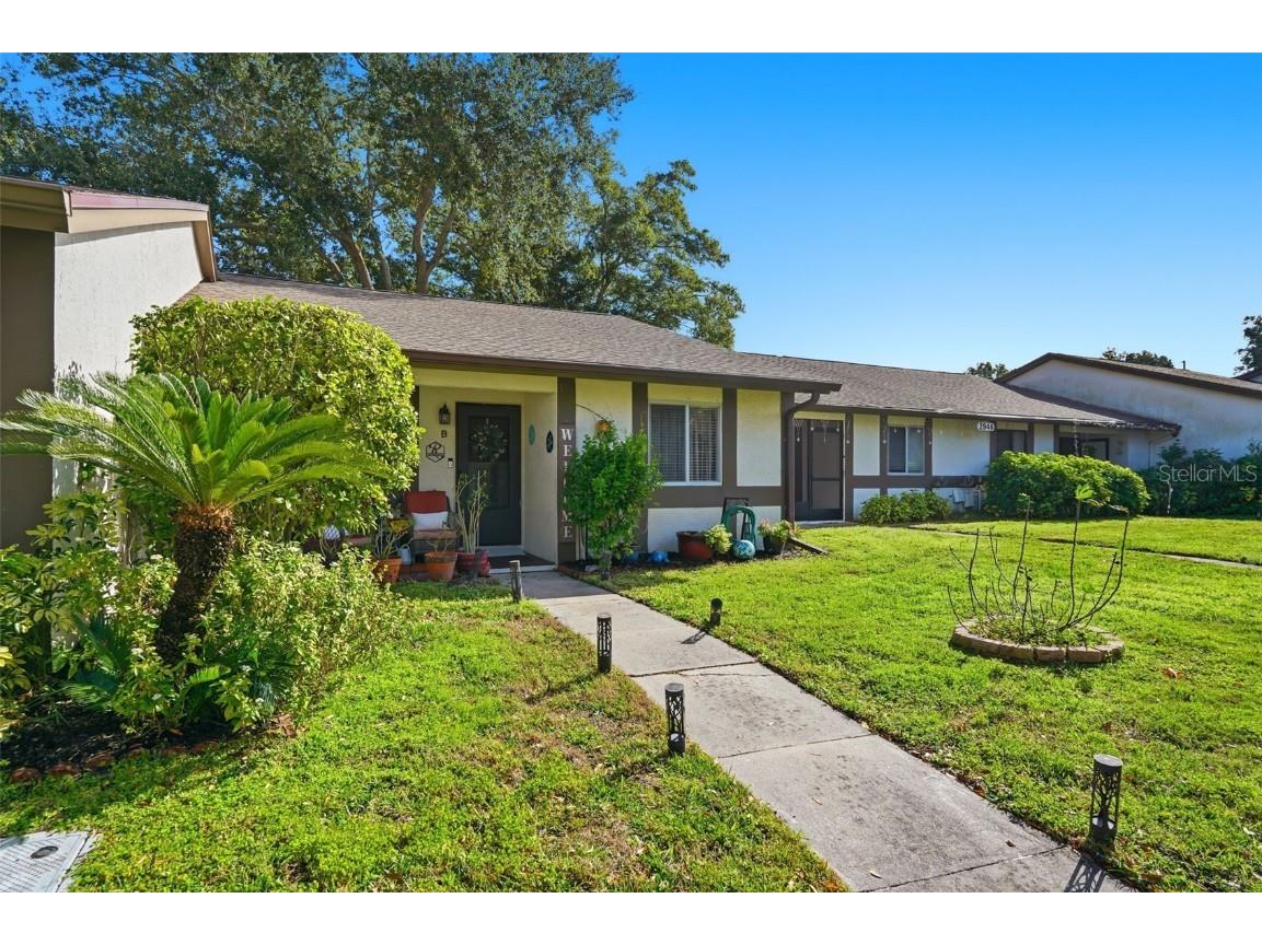 2948 Bancroft Circle E #B Palm Harbor FL 34683 TB8460313 image30