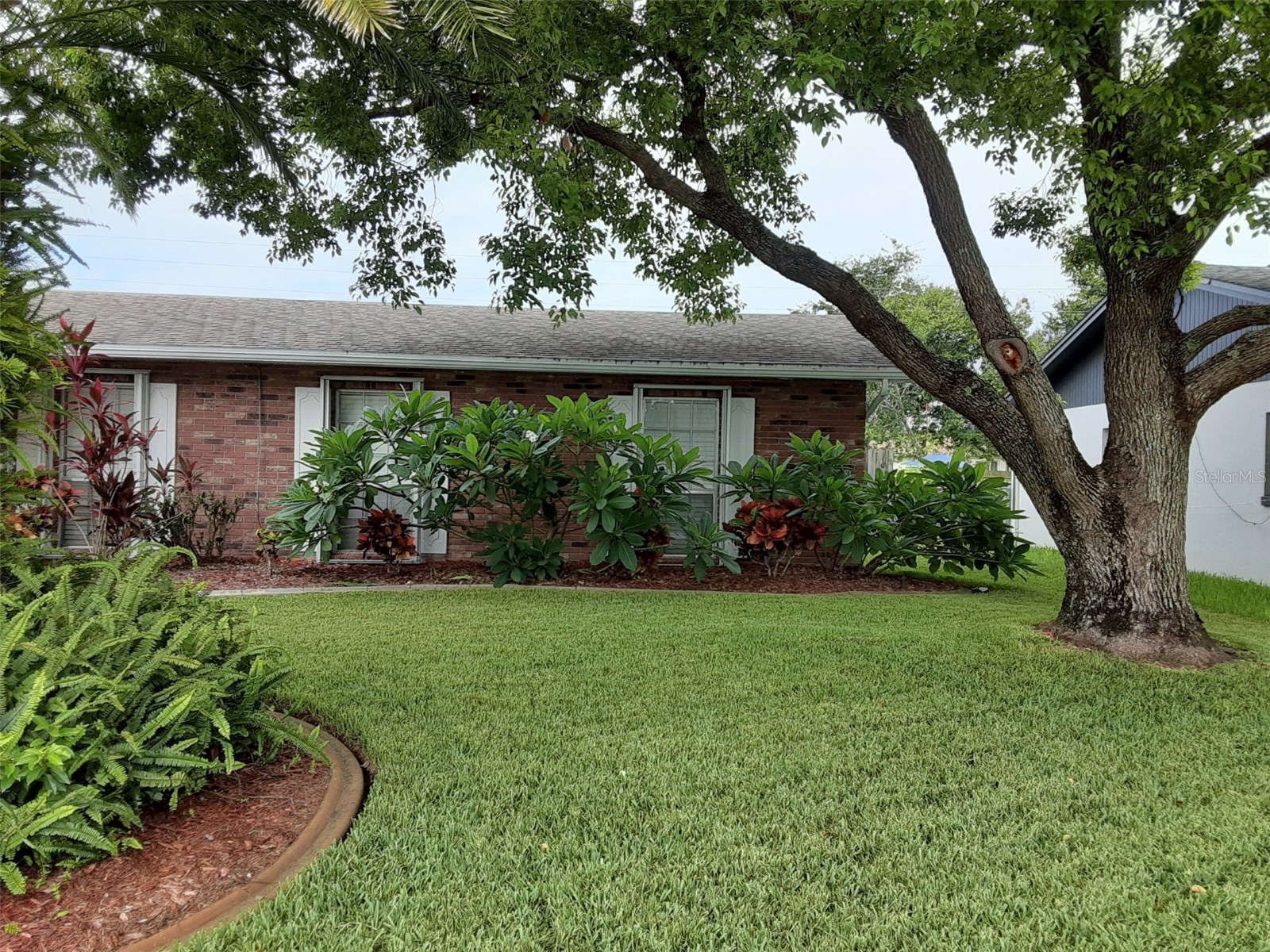 2948 Lantern Drive South Daytona FL 32119 V4948508 image6