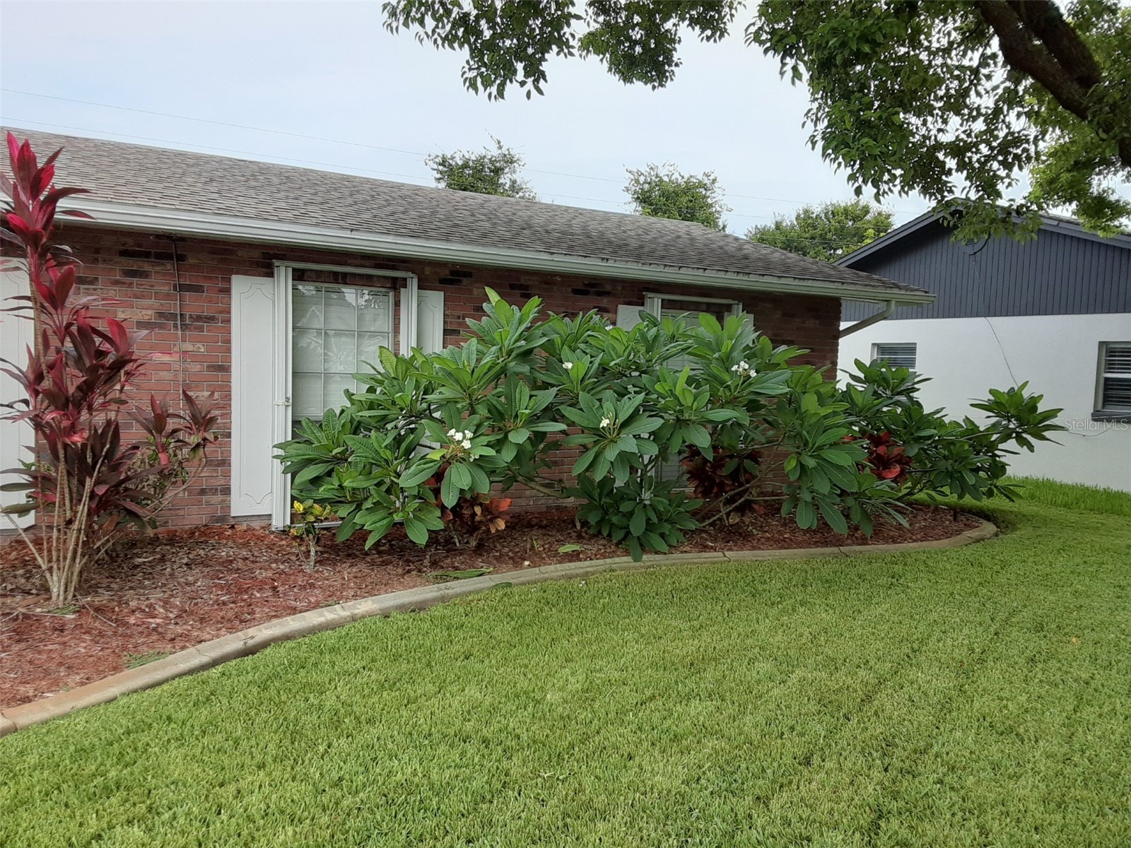 2948 Lantern Drive South Daytona FL 32119 V4948508 image7