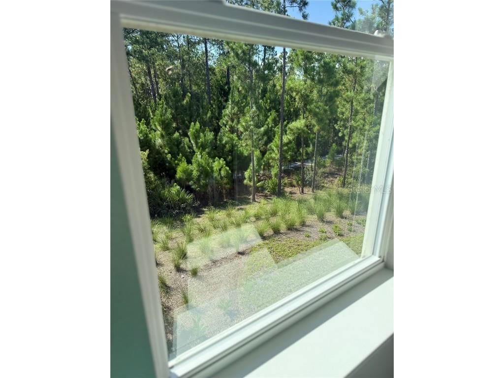 2948 Scout Street Saint Cloud FL 34771 S5131846 image63