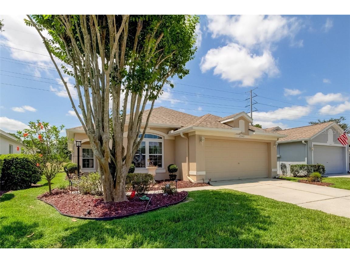 2949 Banyan Hill Lane Land O Lakes FL 34639 T3525307 image1