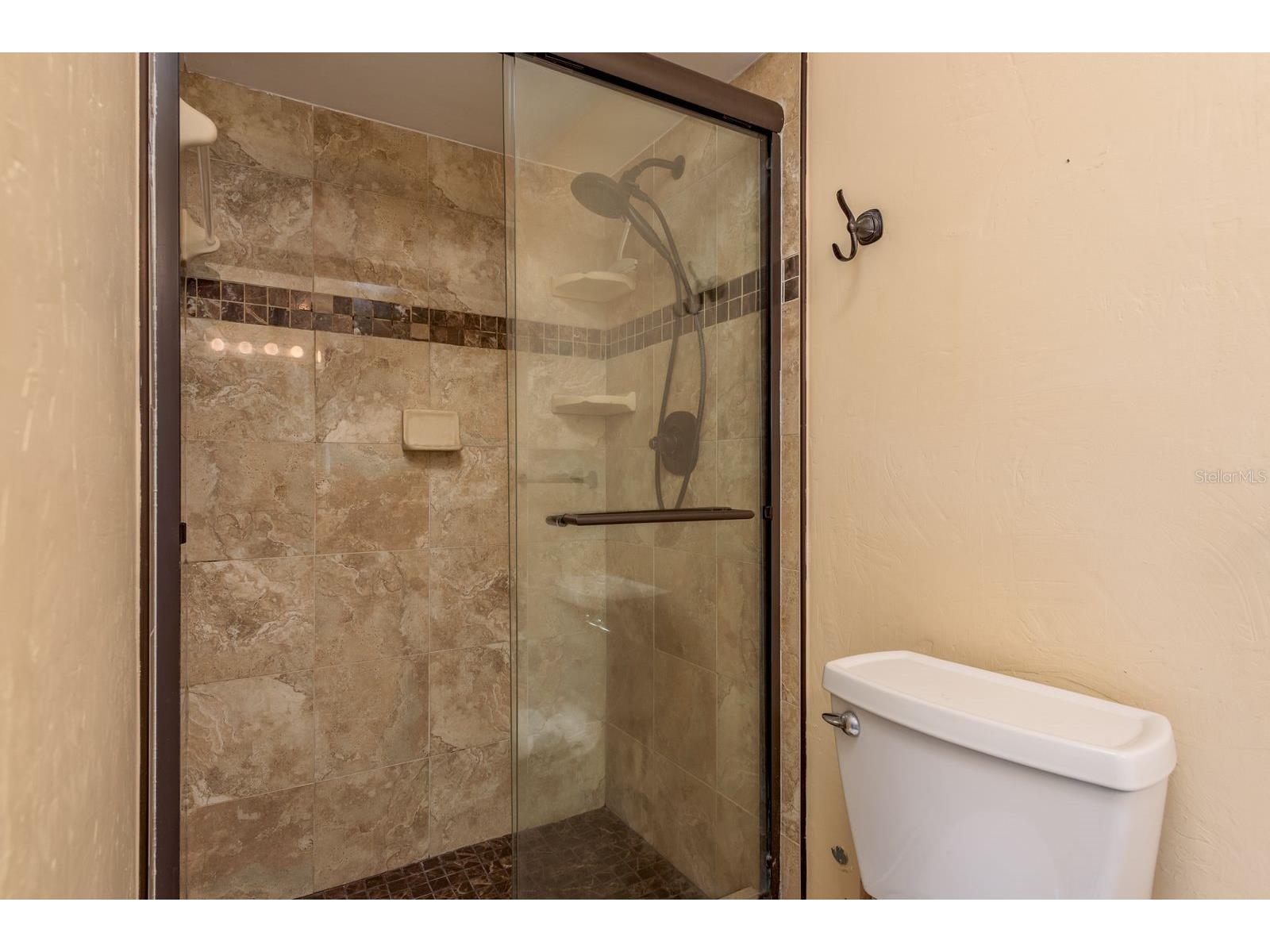 2949 Briar Cliff Drive Palm Harbor FL 34684 TB8455613 image25