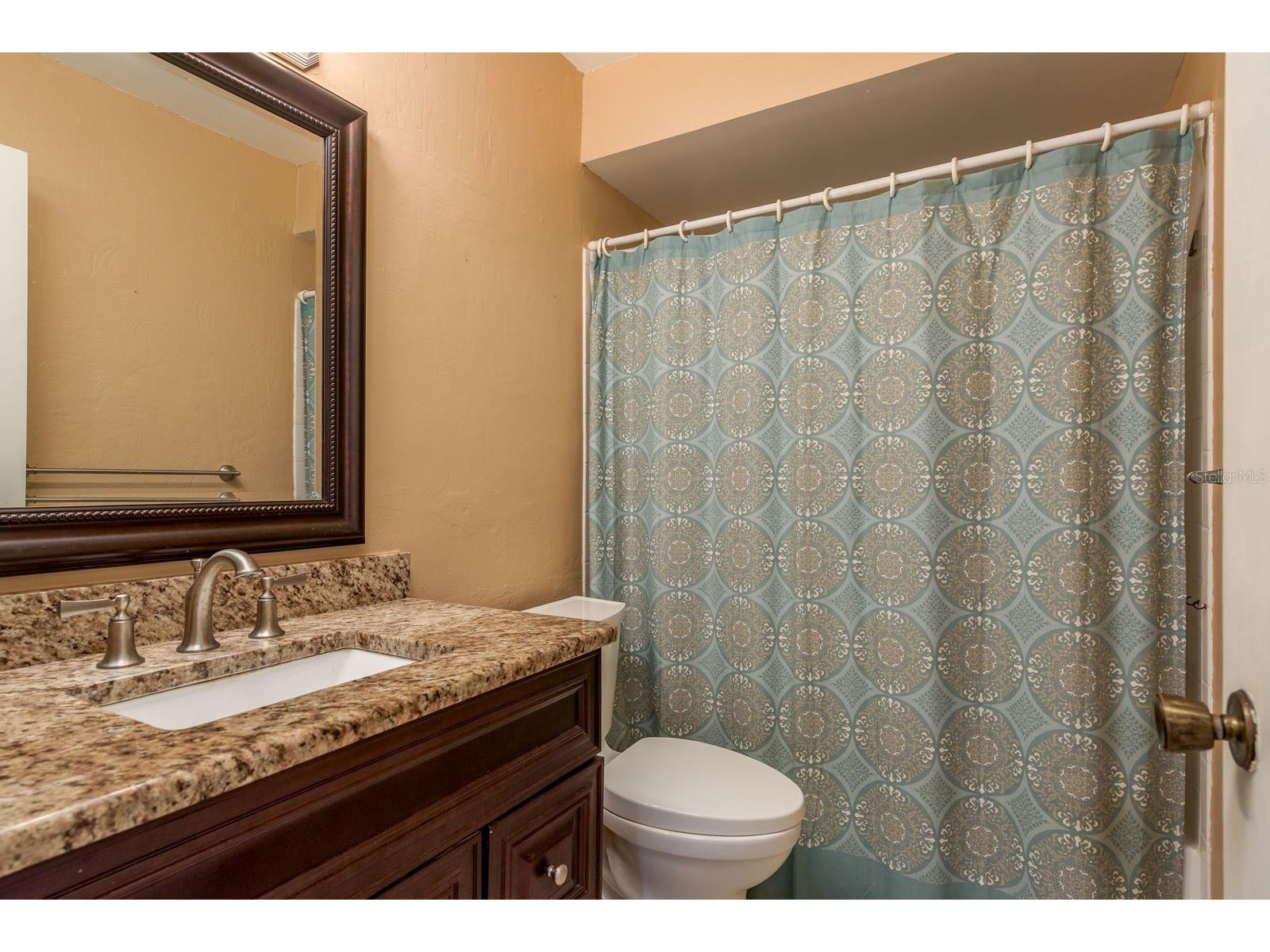 2949 Briar Cliff Drive Palm Harbor FL 34684 TB8455613 image28