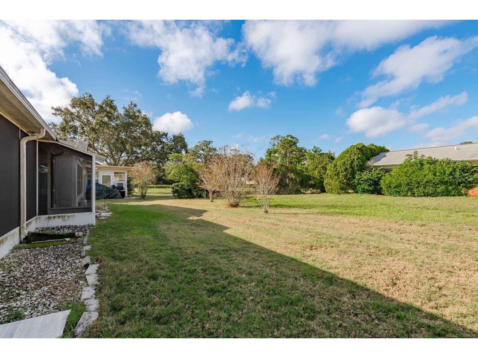 2949 Briar Cliff Drive Palm Harbor FL 34684 TB8455613 image36