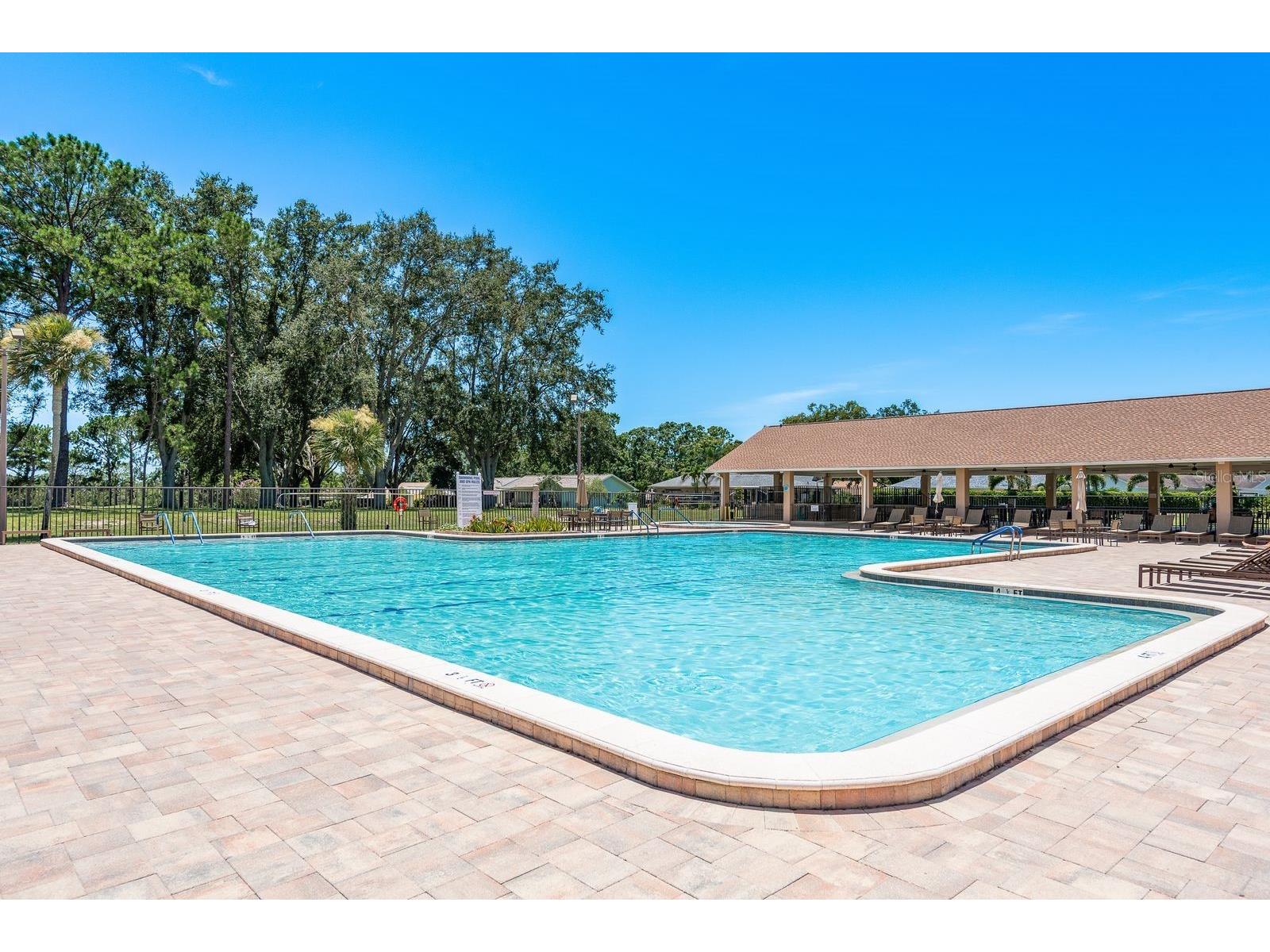 2949 Briar Cliff Drive Palm Harbor FL 34684 TB8455613 image42