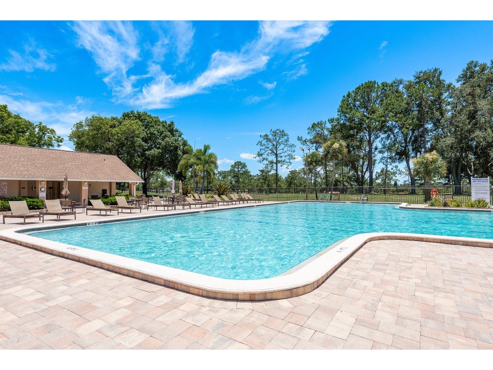 2949 Briar Cliff Drive Palm Harbor FL 34684 TB8455613 image43