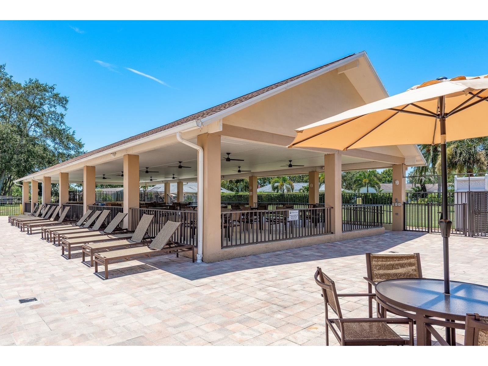 2949 Briar Cliff Drive Palm Harbor FL 34684 TB8455613 image44