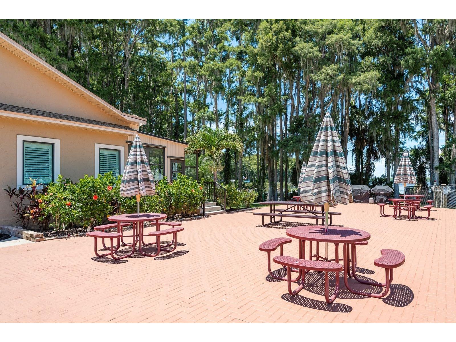 2949 Briar Cliff Drive Palm Harbor FL 34684 TB8455613 image50