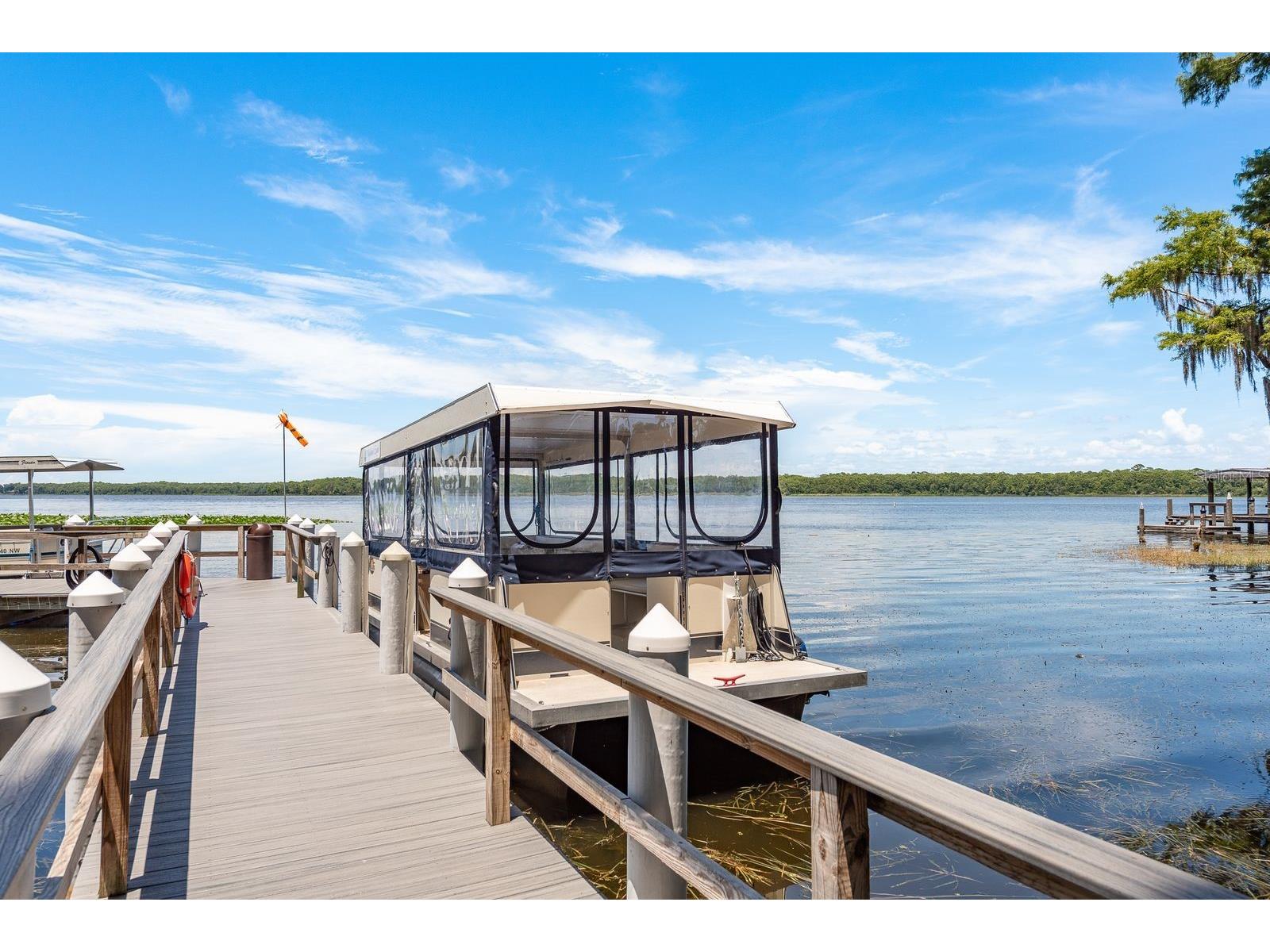 2949 Briar Cliff Drive Palm Harbor FL 34684 TB8455613 image52