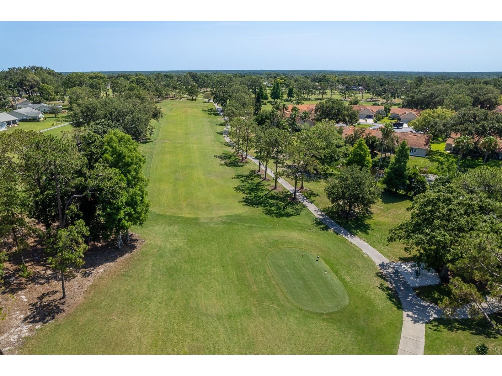 2949 Briar Cliff Drive Palm Harbor FL 34684 TB8455613 image57