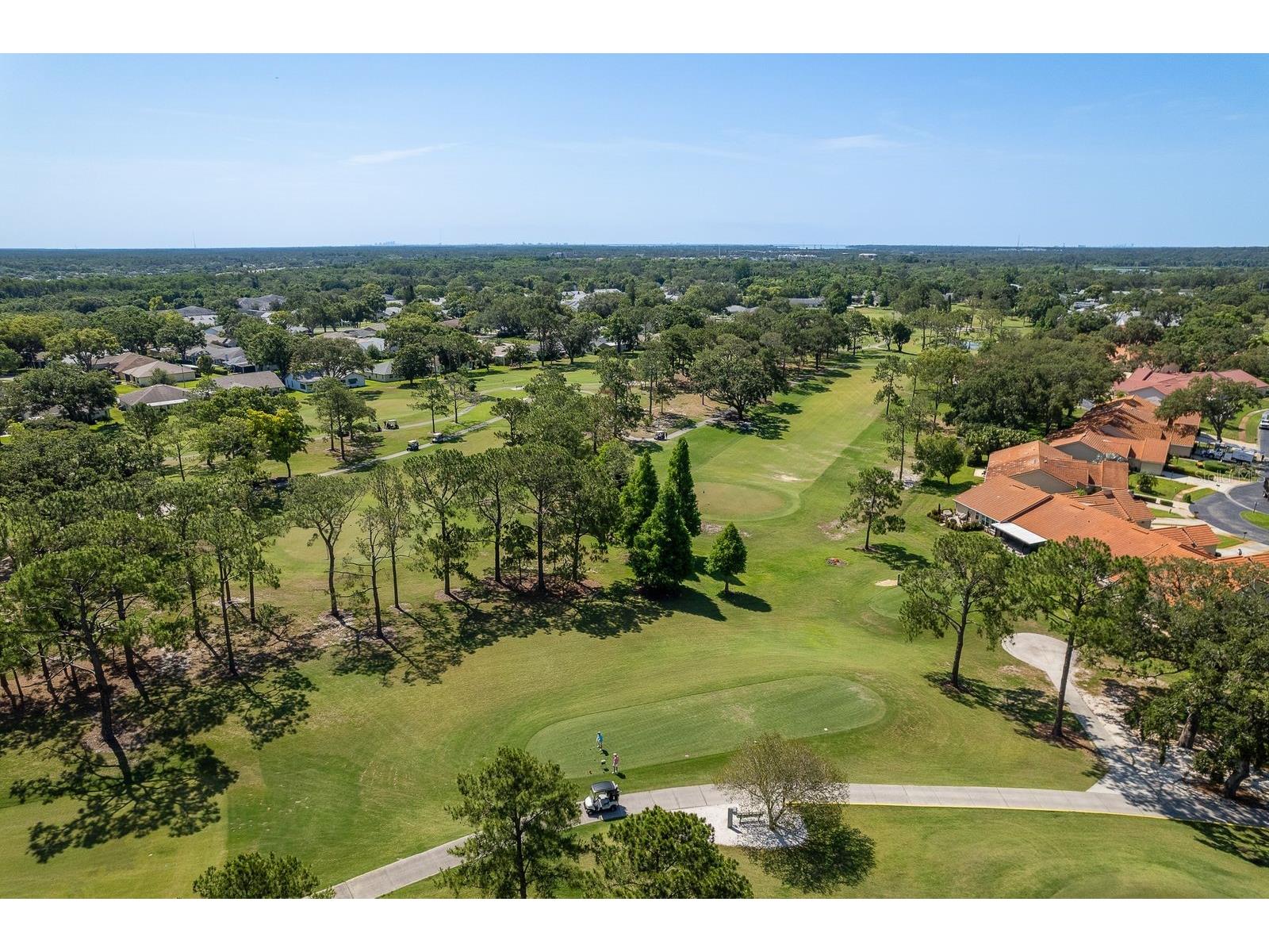 2949 Briar Cliff Drive Palm Harbor FL 34684 TB8455613 image58