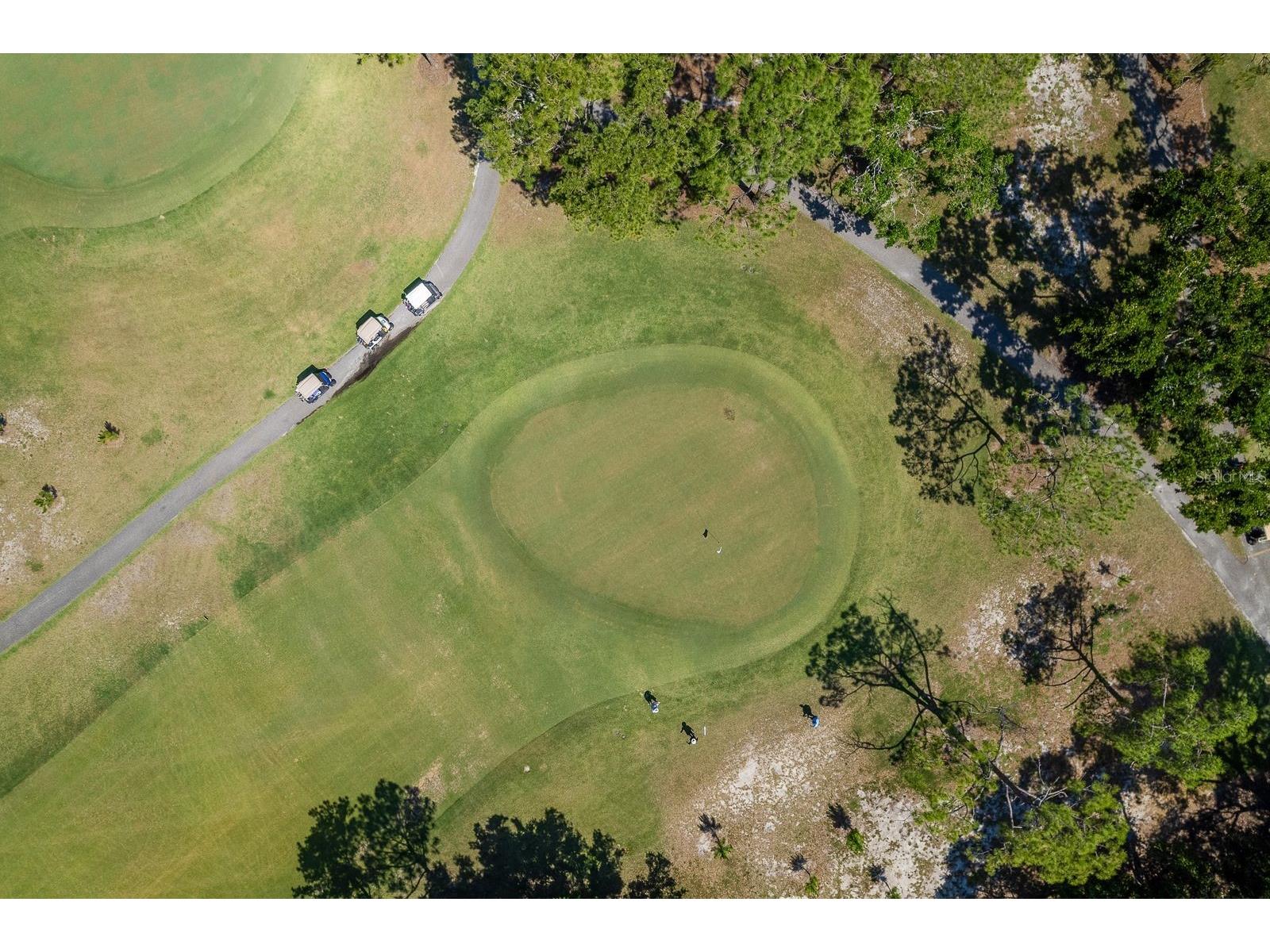 2949 Briar Cliff Drive Palm Harbor FL 34684 TB8455613 image59