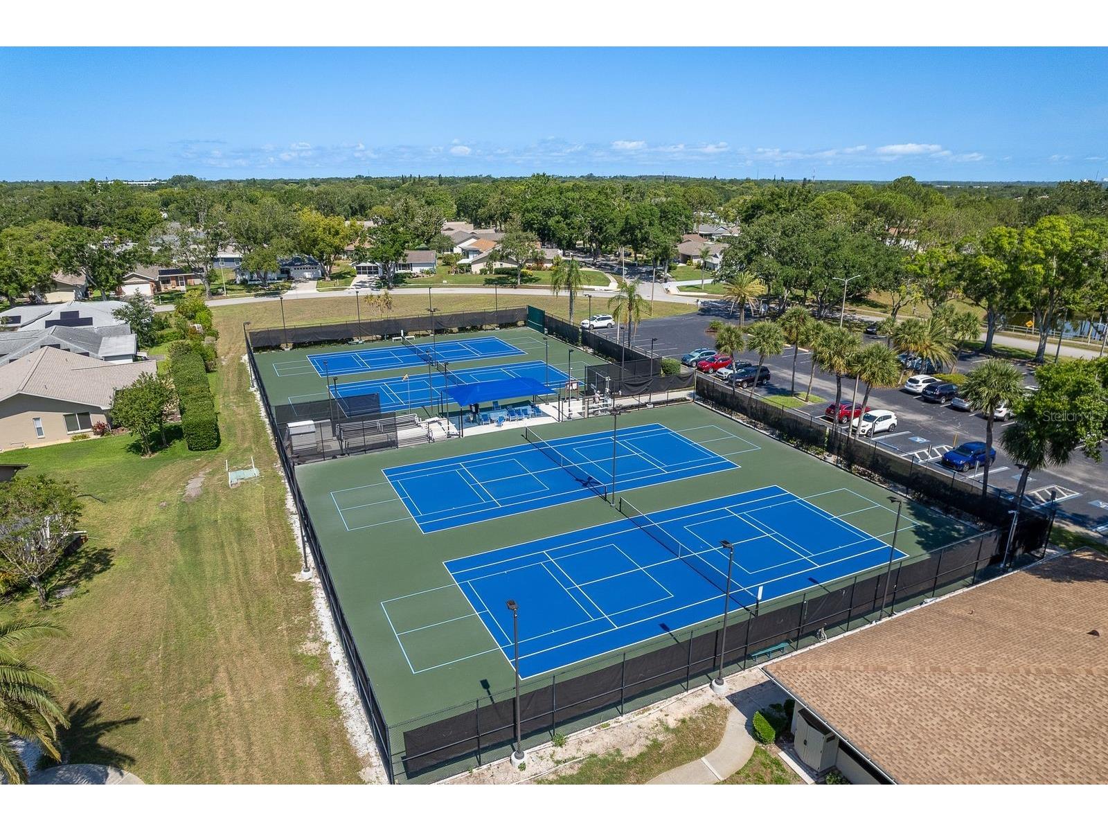 2949 Briar Cliff Drive Palm Harbor FL 34684 TB8455613 image61