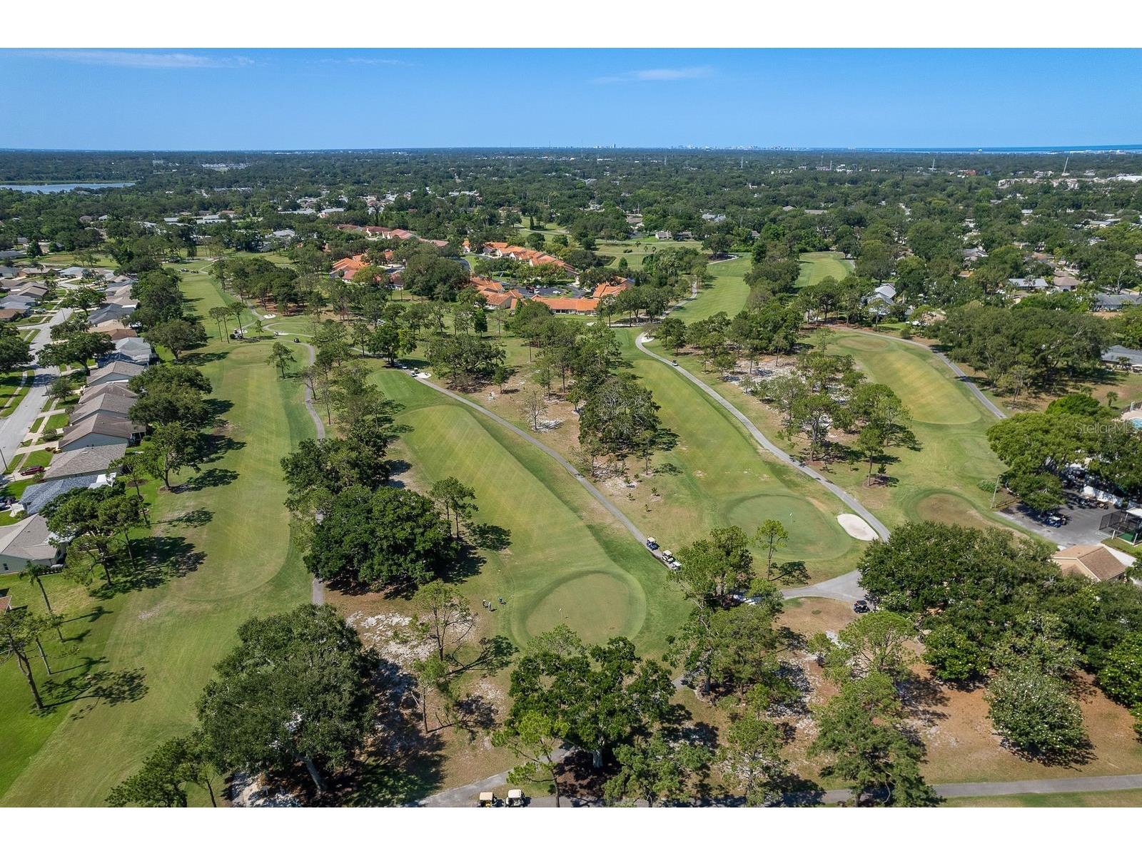 2949 Briar Cliff Drive Palm Harbor FL 34684 TB8455613 image62