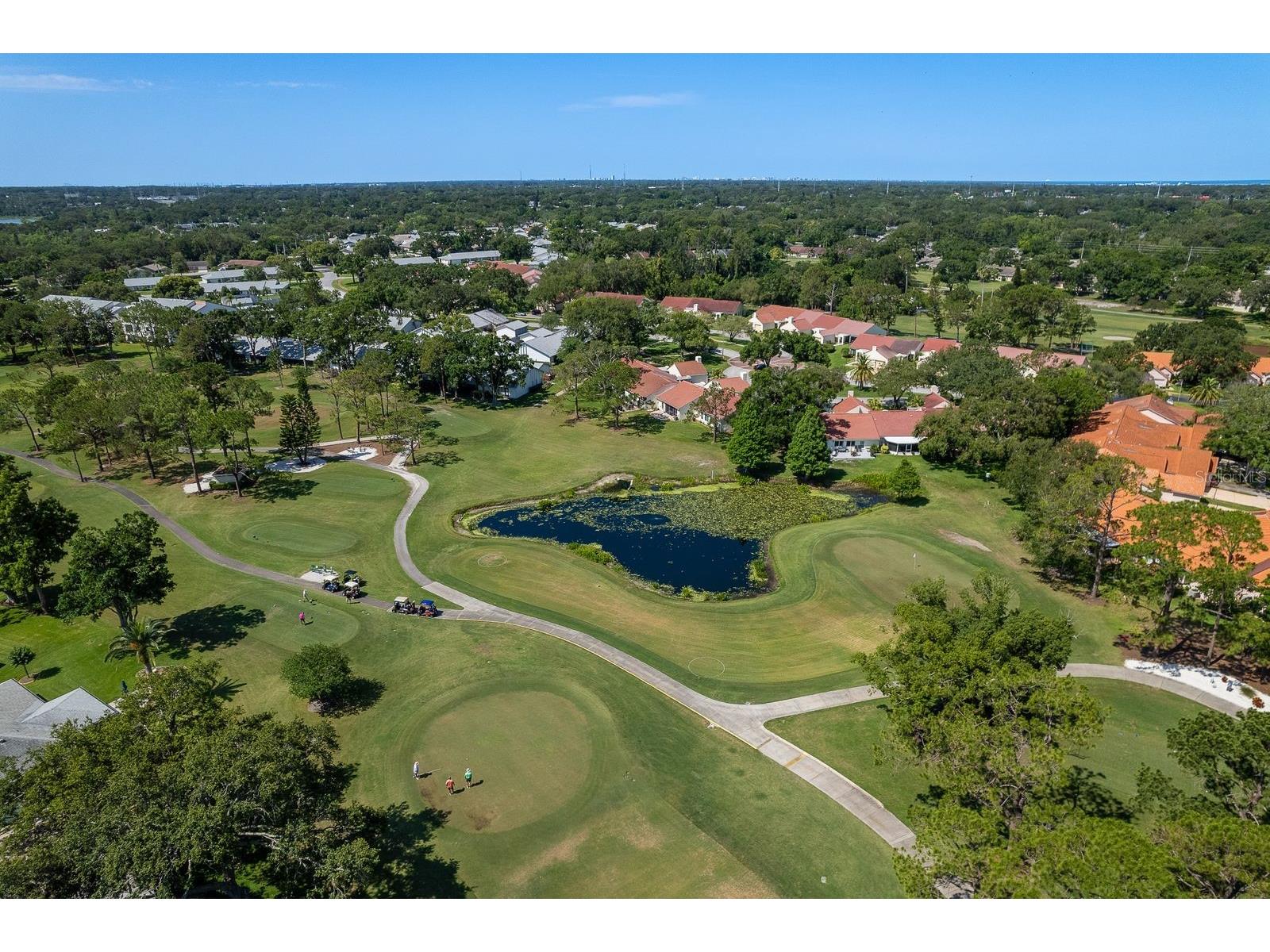 2949 Briar Cliff Drive Palm Harbor FL 34684 TB8455613 image64