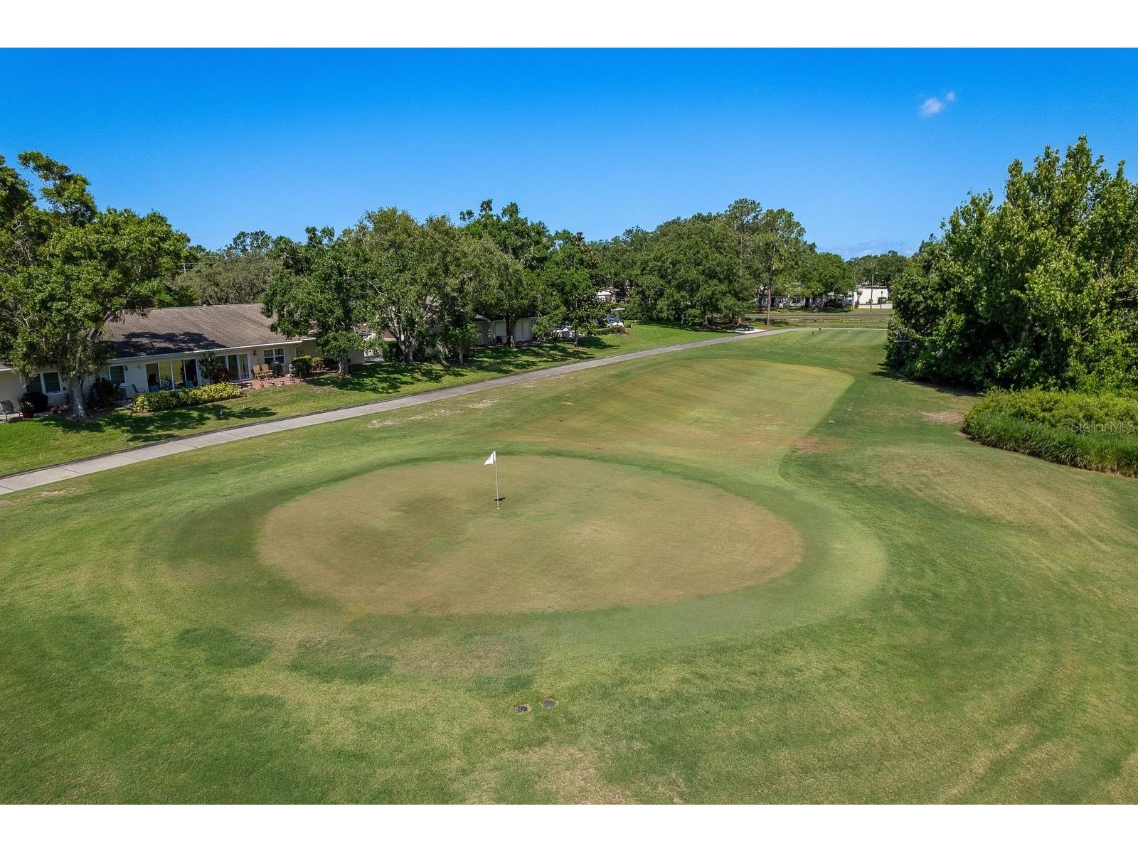 2949 Briar Cliff Drive Palm Harbor FL 34684 TB8455613 image65